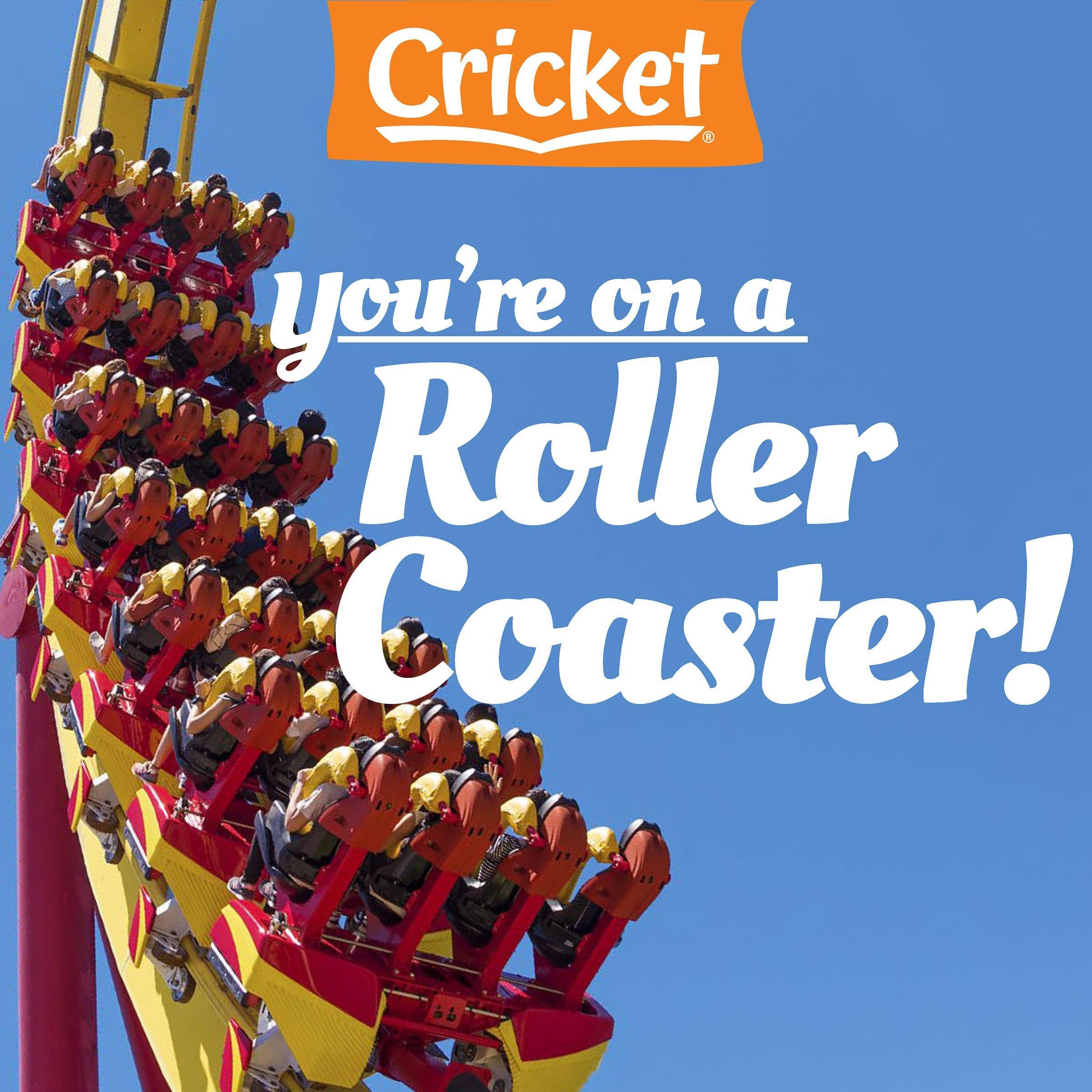 You're on a Roller Coaster! (Audible Audio)