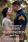 The Adventures of Sunny Washington: The Fight for Freedom Continues
