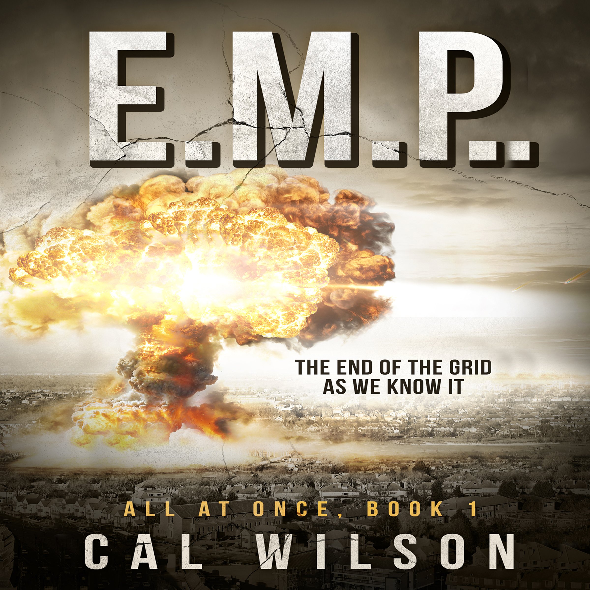 E.M.P.: The End of the Grid as We Know It: All at Once, Book 1