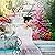A Well-Kept Promise: A Lockhart Sweet Regency Romance, Book 5