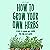 How to Grow Your Own Herbs by Jake Ragen