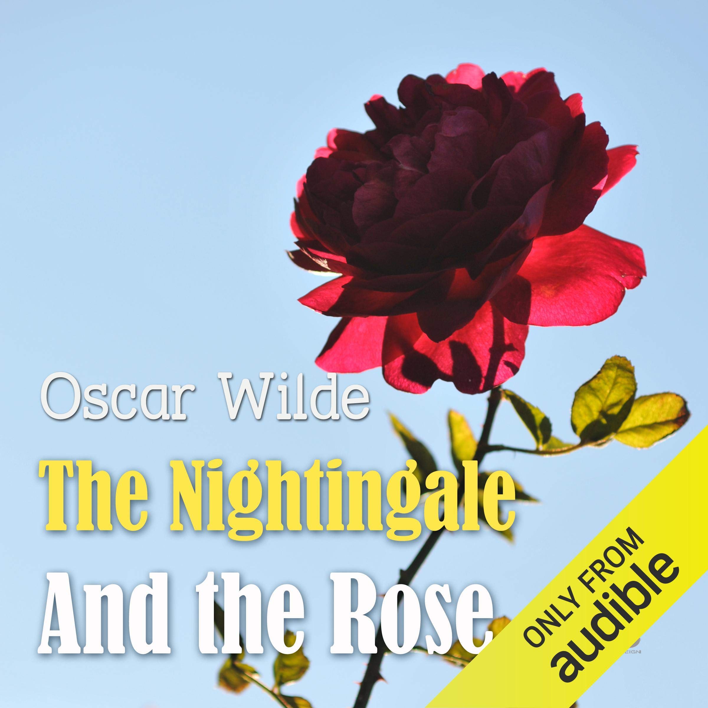 The Nightingale and the Rose