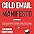 The Cold Email Manifesto: How to Fill Your Sales Pipeline, Convert like Crazy and Level Up Your Business in 90 Days or Less