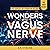 Wonders of the Vagus Nerve: A Step-by-Step Guide to Improve Digestive Health, Manage Stress, Promote Chronic Pain Resilience and Aid in Trauma Recovery for an Enhanced Mind-Body Connection