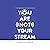 You Are Not Your Stream: A Twitch Broadcaster's Guide to Success Online and Behind the Scenes