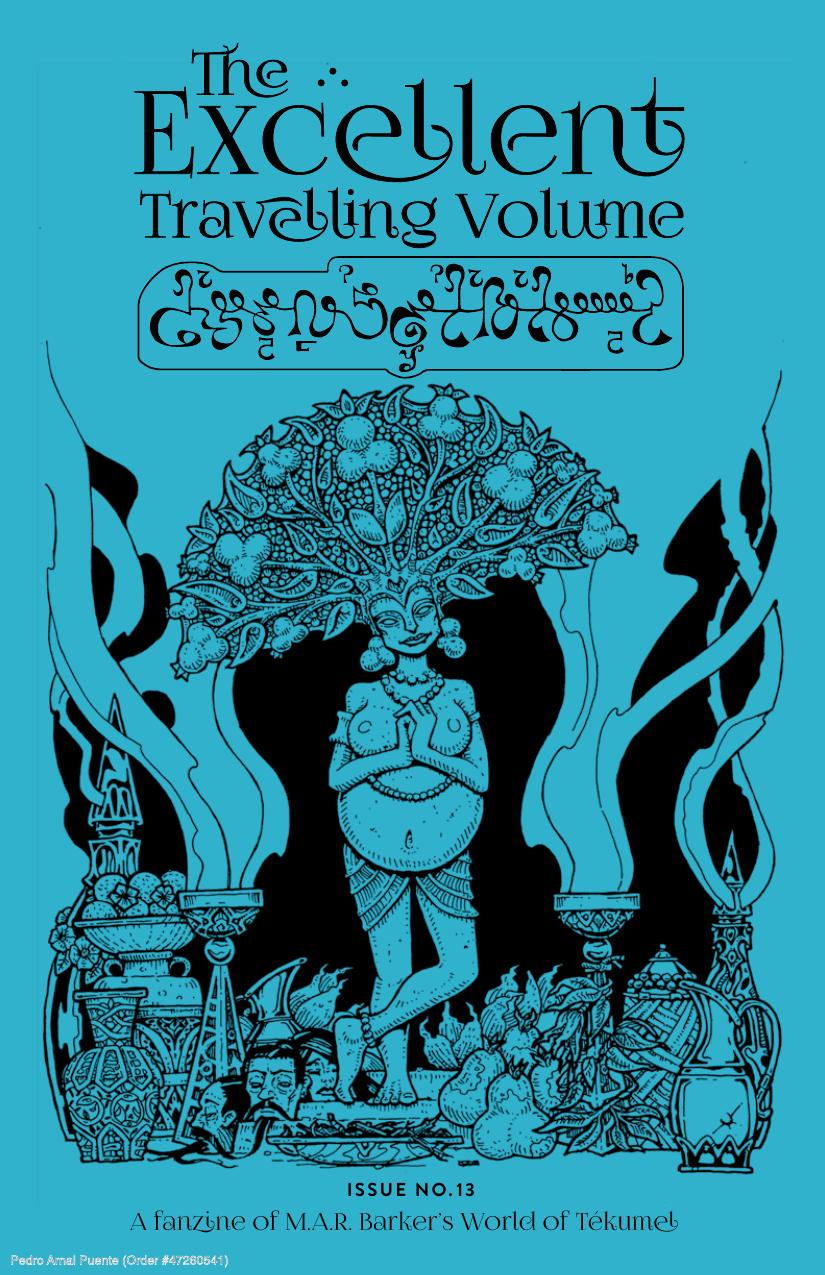 The Excellent Travelling Volume #13 (Paperback)