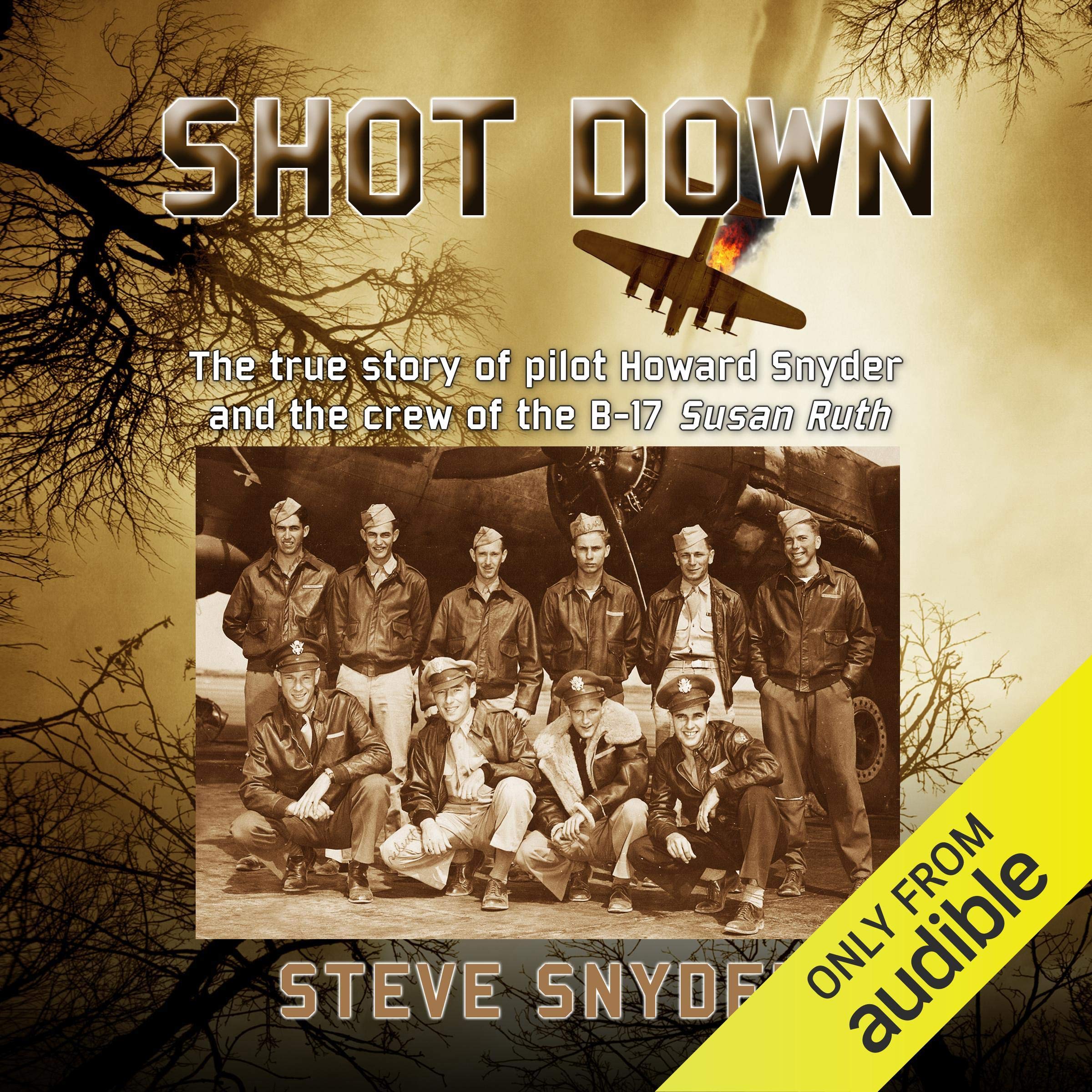 Shot Down: The True Story of Pilot Howard Snyder and the Crew of the B-17 Susan Ruth