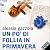 Un po' di follia in primavera: La serie dell'Allieva