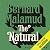 The Natural: A Novel