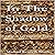 In the Shadow of Gold: A Tale of the Lost Confederate Treasure
