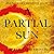 A Partial Sun: The Tinsmith's Apprentice Series