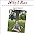 Why I Run: My Story of How I Won My Life Back from the Darkness of Depression