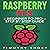 Raspberry Pi 3: Beginner to Pro: Step by Step Guide