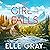 New Girl in the Falls: A Sweetwater Falls Mystery, Book 1