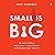Small is Big: The Source Code for Fulfilment, Productivity, and Extraordinary Results