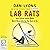Lab Rats: Why Modern Work Makes People Miserable