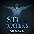 Still Waters: Memoirs of the Human Wraiths, Book 3