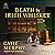 Death by Irish Whiskey (Dublin Driver Mysteries, #5)
