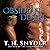 Obsidian Desire: A Short Story Novella