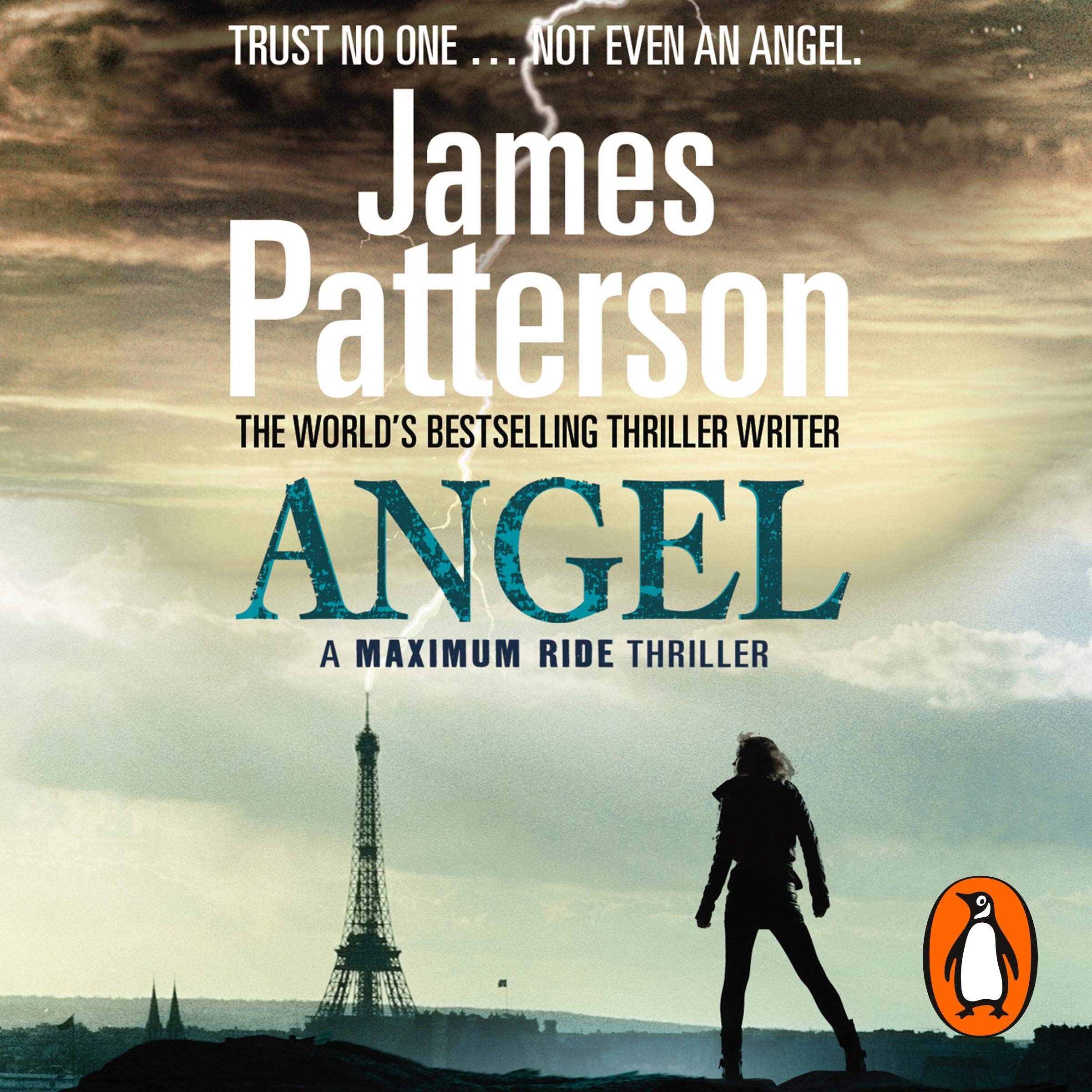 Angel: A Maximum Ride Novel: