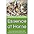 Essence at Home: Your Comprehensive Guide to DIY Aromatherapy and Personal Care Crafts