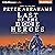Last of the Dixie Heroes: A Novel of Suspense