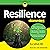 Resilience for Dummies