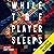While the Player Sleeps: A Short Science Fiction Story