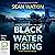 Black Water Rising: DCI de Silva Crime Thrillers, Book 1