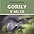 Gorily v mlze
