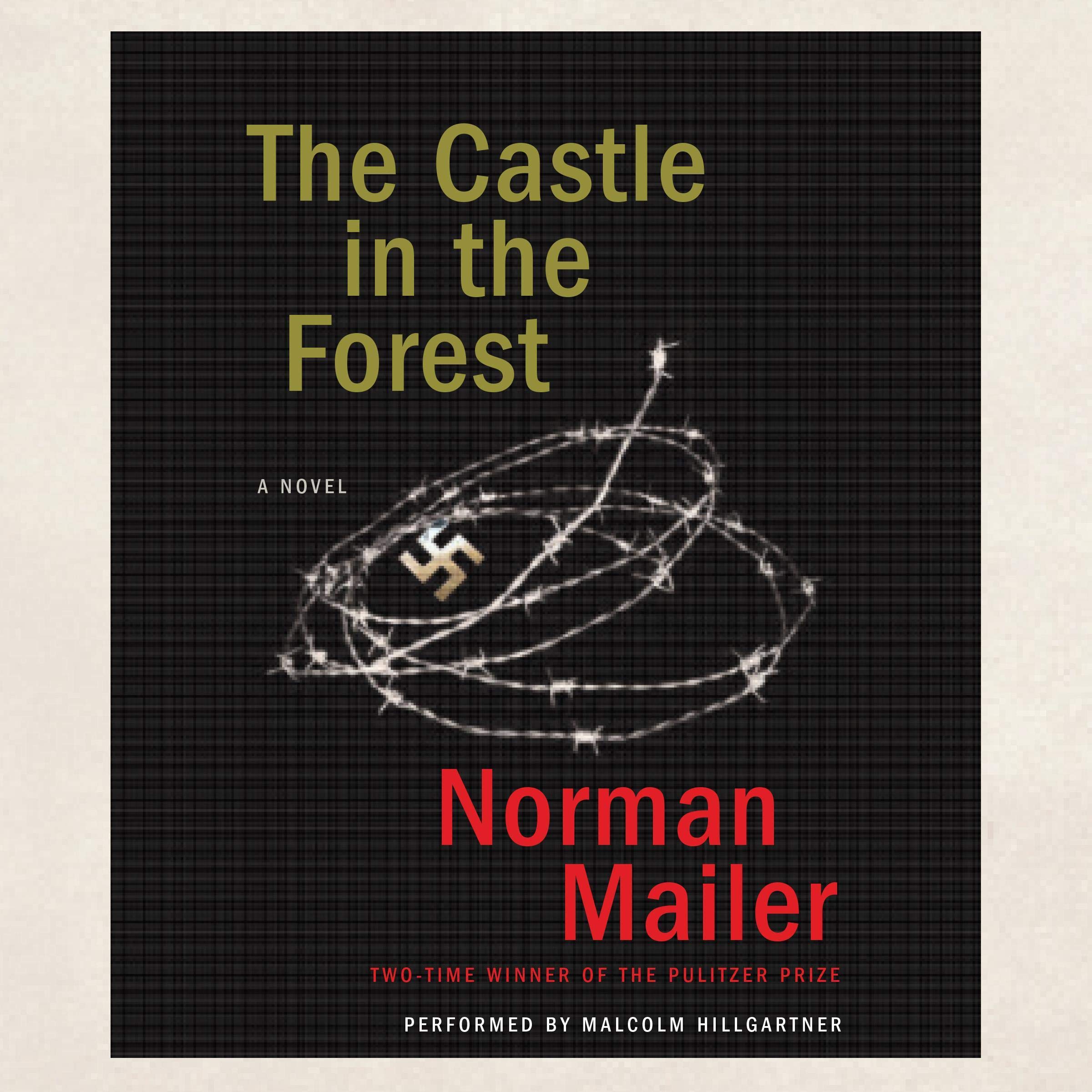 The Castle in the Forest