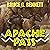 Apache Pass: A Gabriel Torrent Western, Book 3