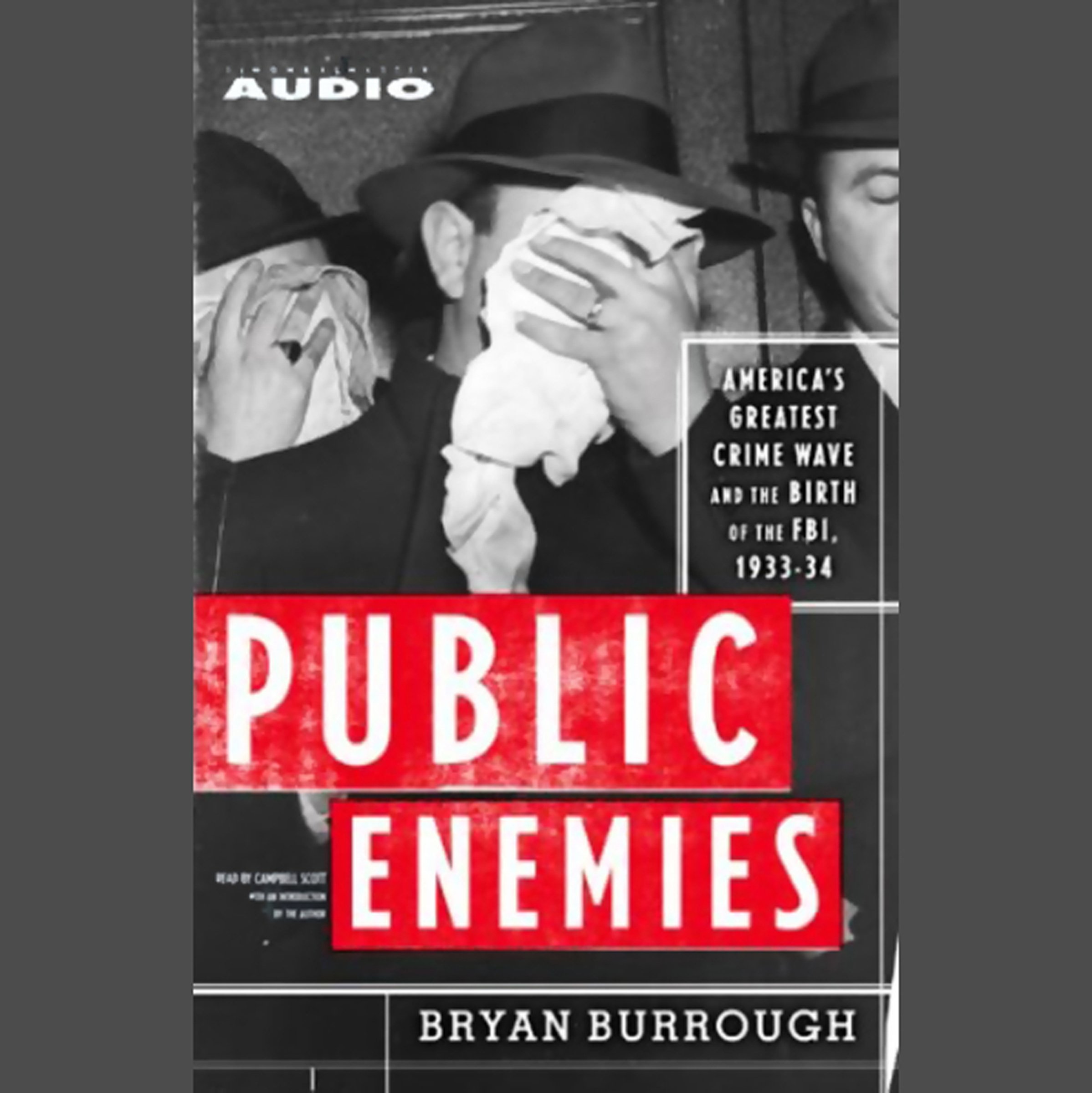 Public Enemies