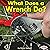 What Does a Wrench Do?