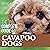 The Complete Guide to Cavapoo Dogs: Everything You Need to Know to Successfully Raise and Train Your New Cavapoo Puppy