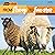 From Sheep to Sweater: Start to Finish, Second Series