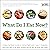What Do I Eat Now?: A Step-by-Step Guide to Eating Right with Type 2 Diabetes