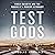 Test Gods: Virgin Galactic and the Making of a Modern Astronaut