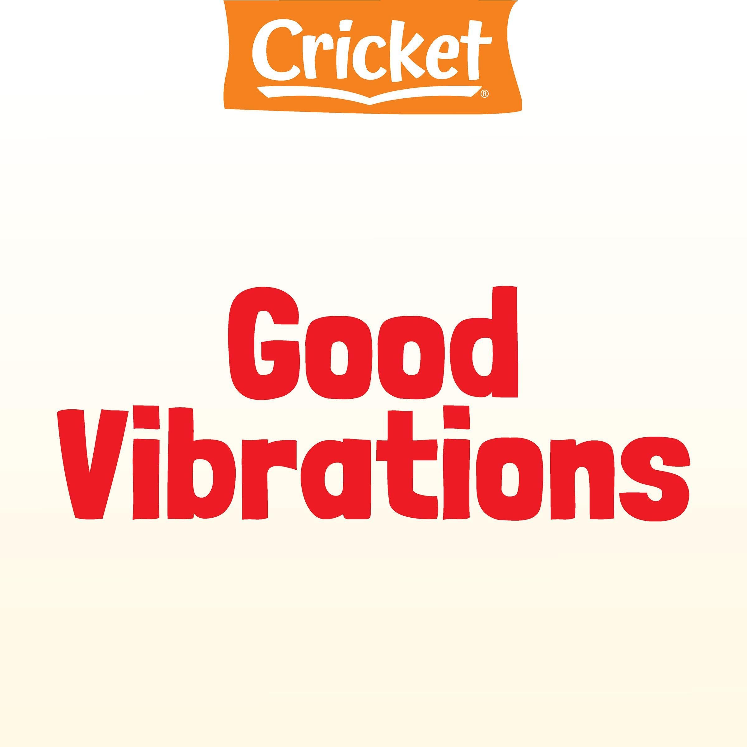 Good Vibrations (Audible Audio)