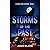 STORMS OF THE PAST: A Shady Pines Mystery Novel - Book 3