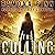 The Culling: The Culling Trilogy, Book 1