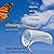 Chasing Monarchs: Migrating with the Butterflies of Passage