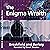 The Enigma Wraith: The Enigma Series, Book 4