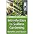 Introduction to Soilless Gardening: Benefits and Basics