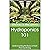 Hydroponics 101: Understanding the Basics of Soil-Free Gardening