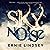 Skynoise: A Time Travel Thriller