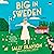 Big in Sweden: A Novel