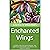 Enchanted Wings: A Guide to the Life Cycles, Behavior, and Significance of Butterflies and Moths in the Natural Ecosystem