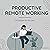 Productive Remote Working: ...