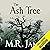 The Ash Tree